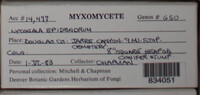 Image Associated With the Occurence